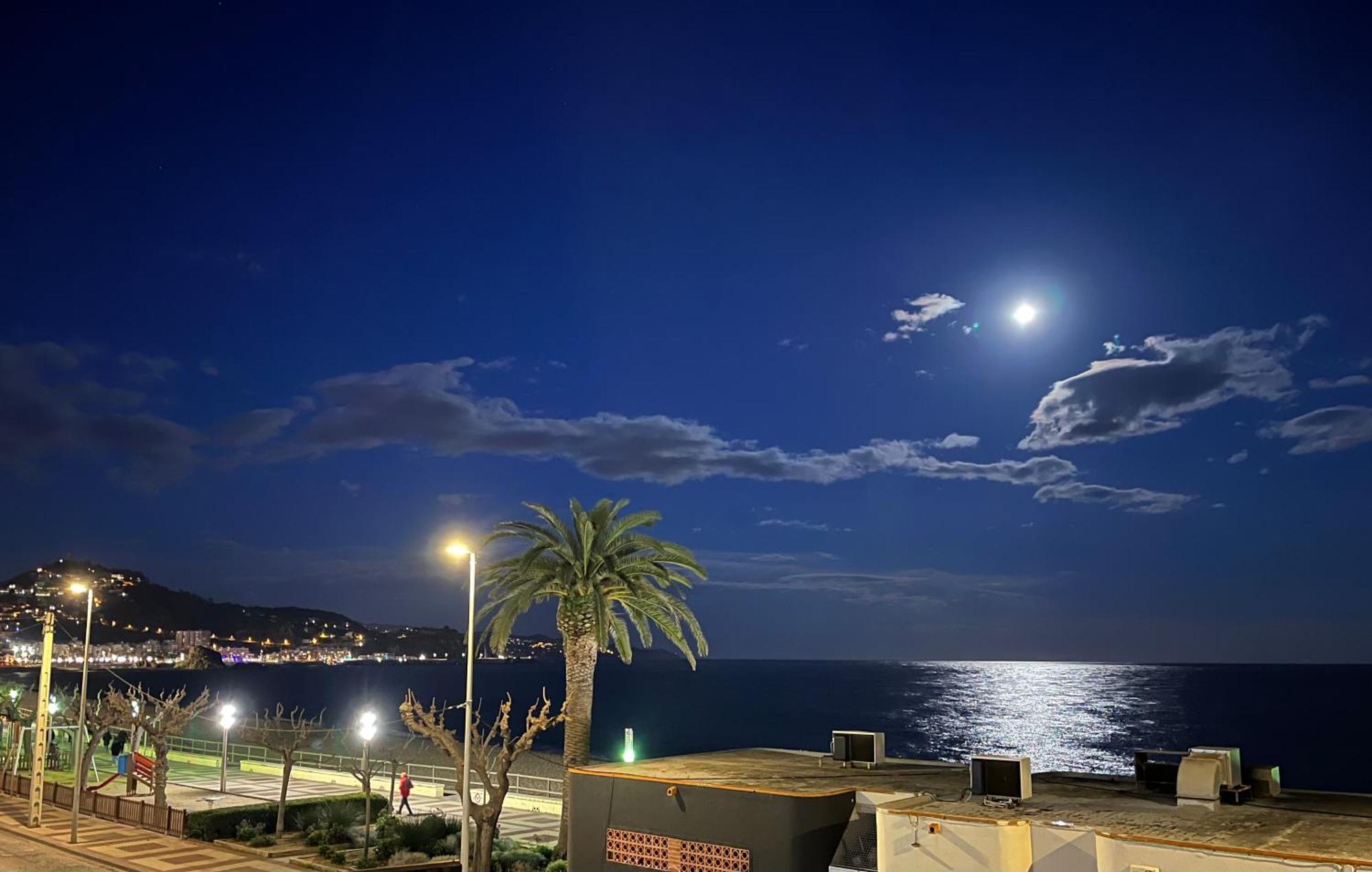 Estudio Con Impresionantes Vistas Al Mar Blanes Eksteriør bilde